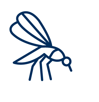 Icon: Insekt