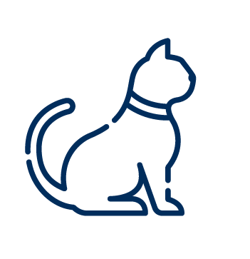 Icon: Katze